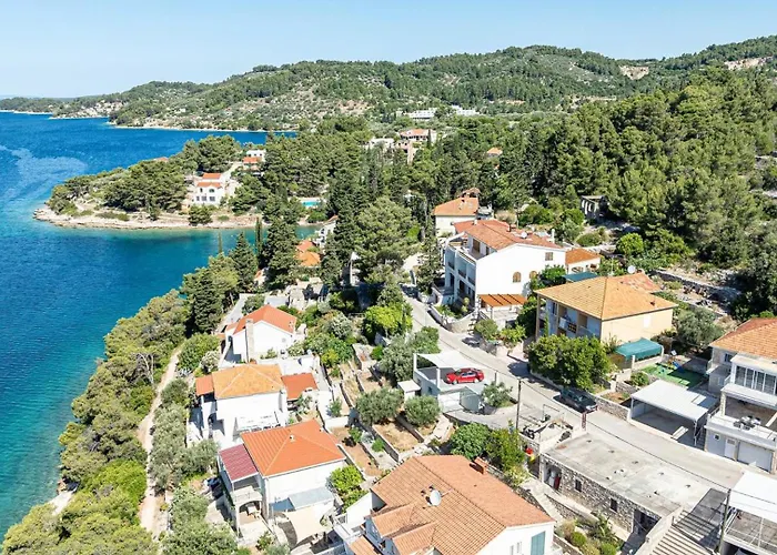 Guest house Doris Vela Luka